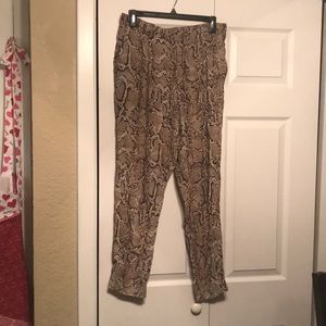 Zara Woman Snake Print Bottoms